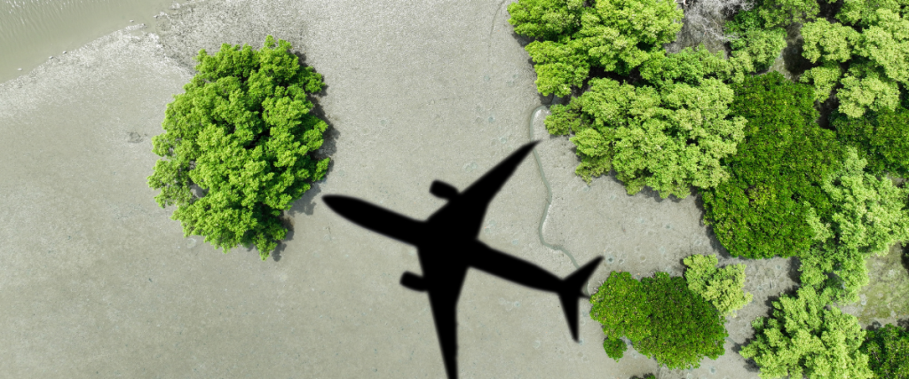 International Courier Charges For USA